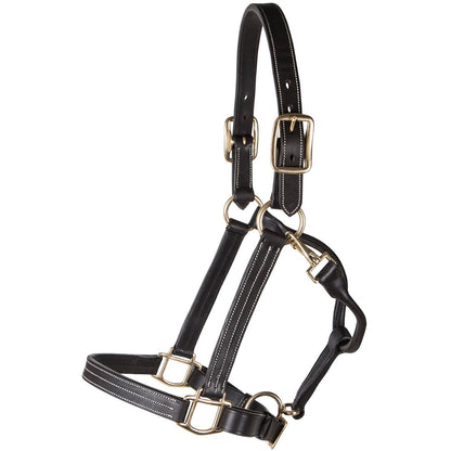 Billy Royal® Belmont Leather Halter