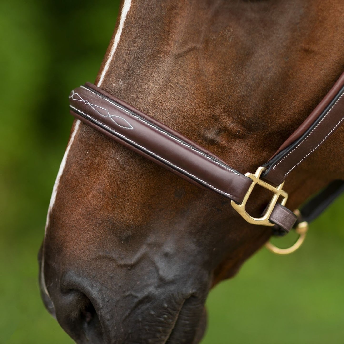 Joseph Sterling® Comfort Crown Leather Halter