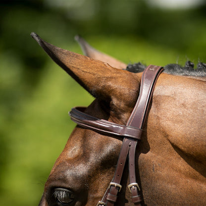 Joseph Sterling® Pro Series Hunter Classic Bridle