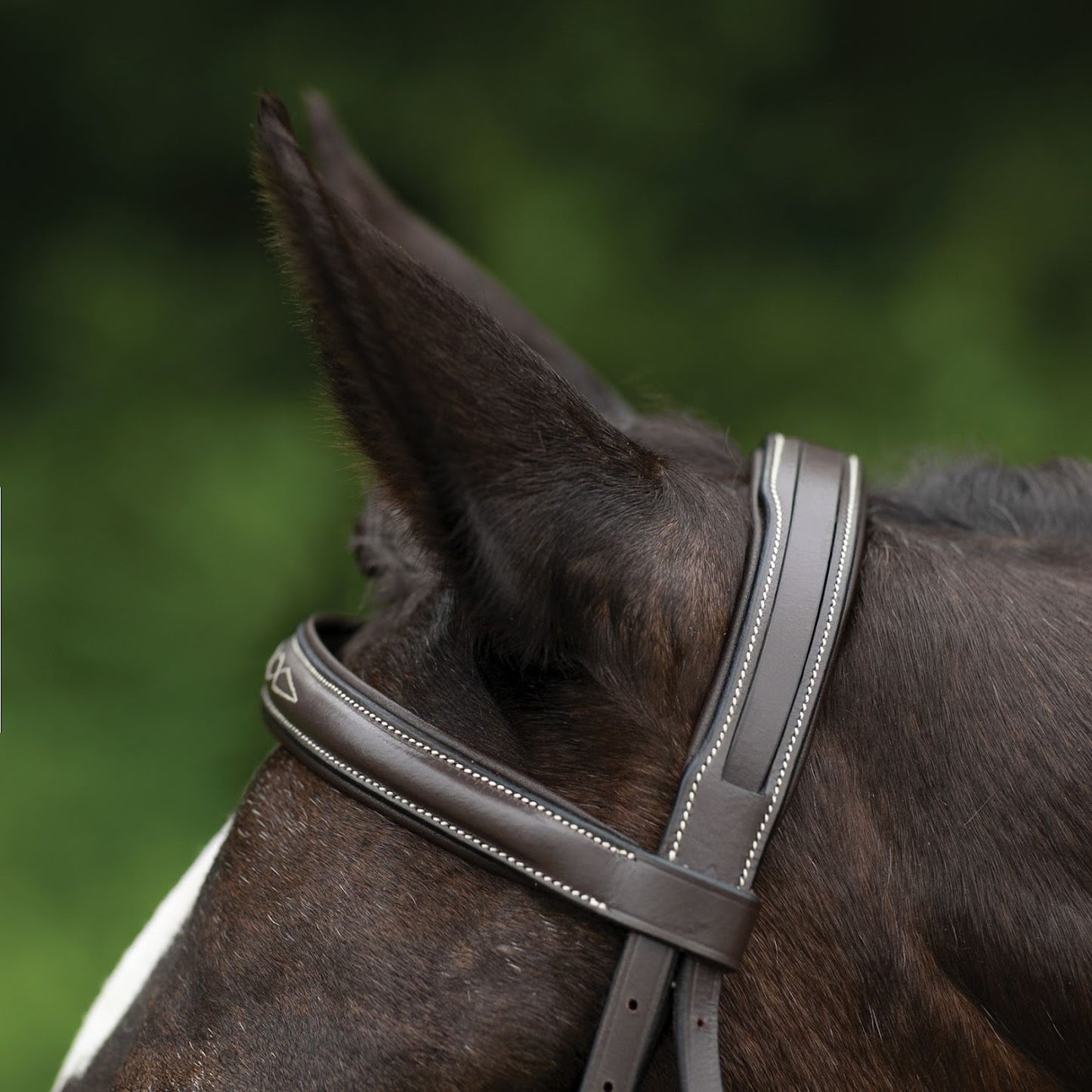 Pinnacle Comfort Plus® Hunter Bridle