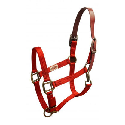Showman® Premium Nylon Breakaway Halter