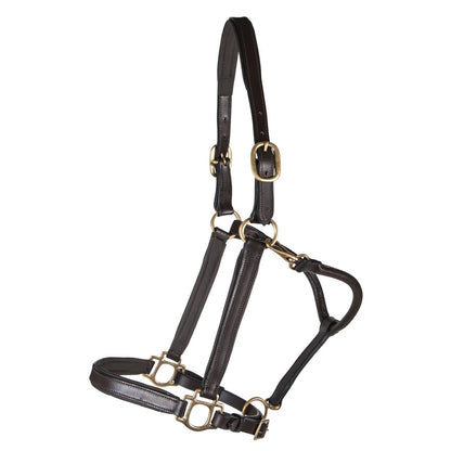 Premier Scottsdale Padded 3/4" Leather Halter