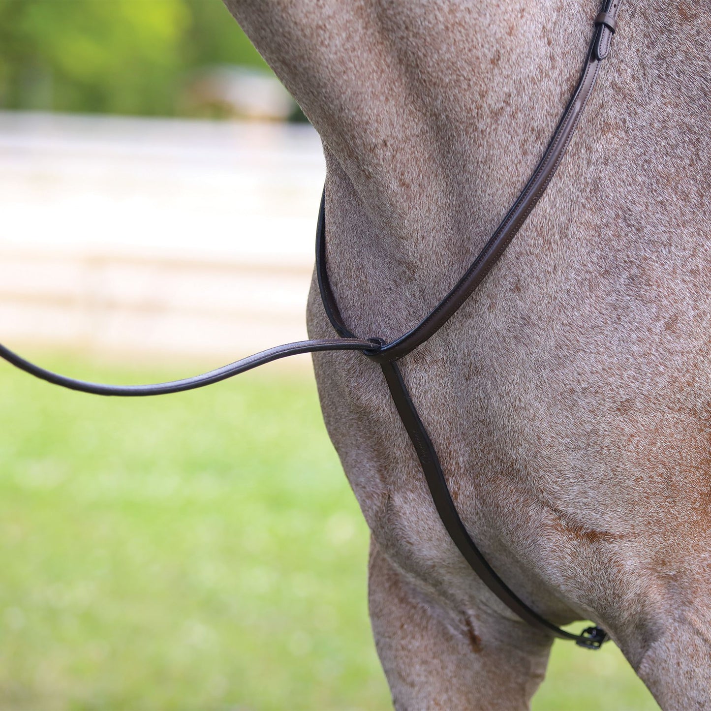 Premier Fancy Stitched Standing Martingale