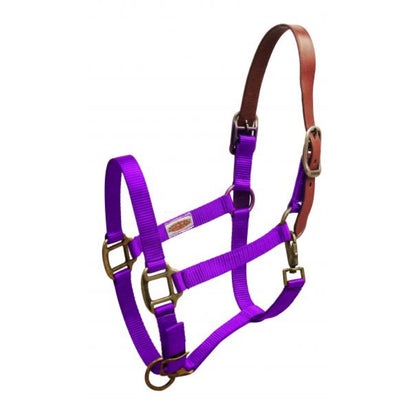 Showman® Premium Nylon Breakaway Halter