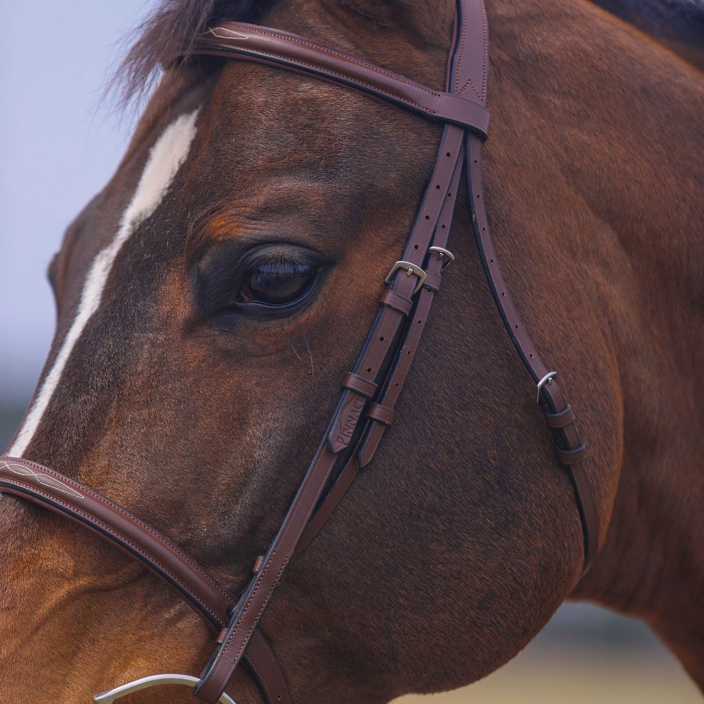Pinnacle Hunter II Classic Bridle