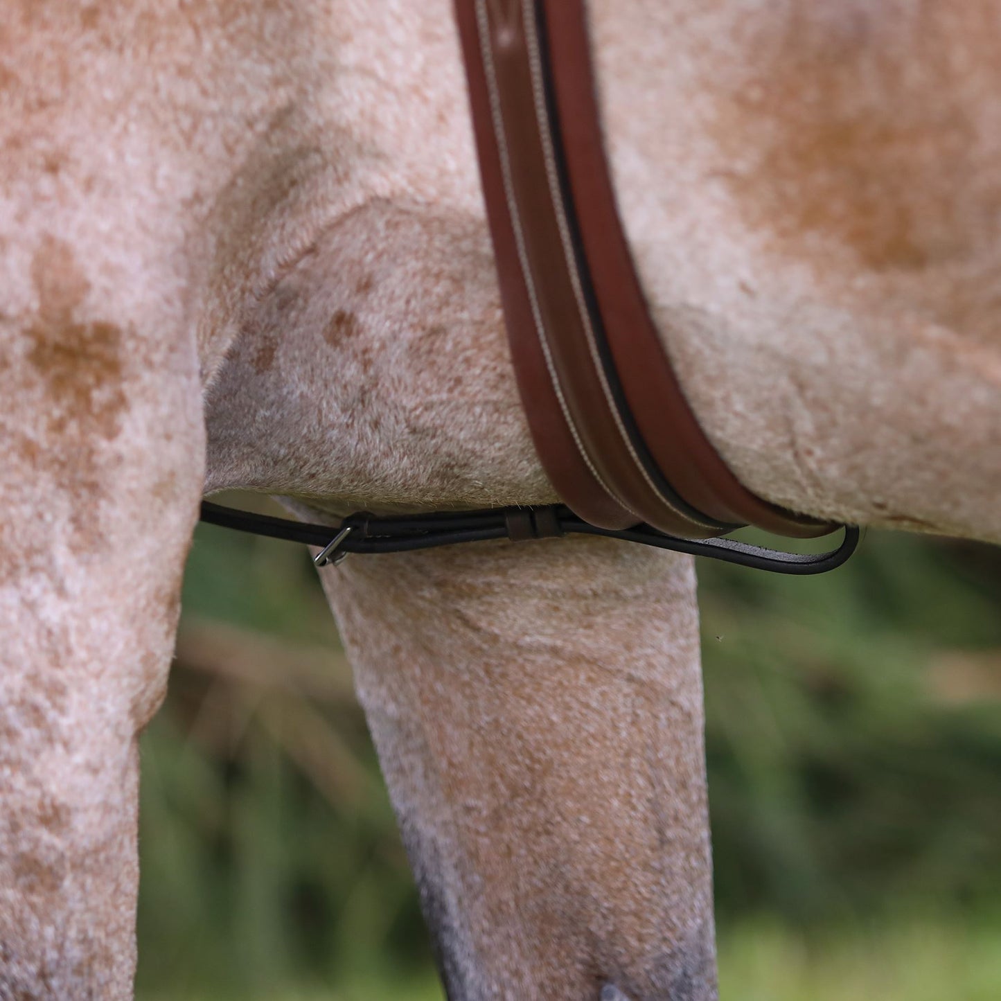 Premier Fancy Stitched Standing Martingale