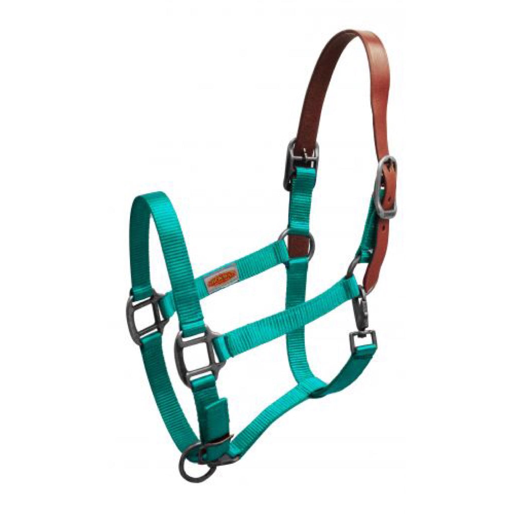Showman® Premium Nylon Breakaway Halter