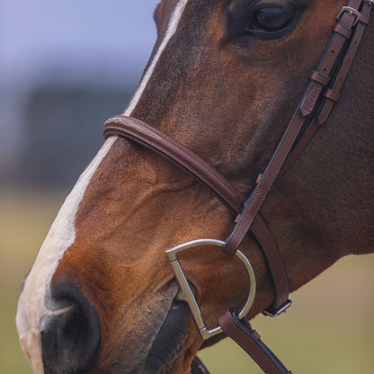 Pinnacle Hunter II Classic Bridle
