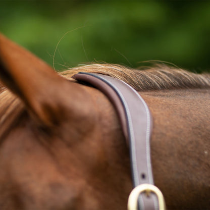 Joseph Sterling® Comfort Crown Leather Halter