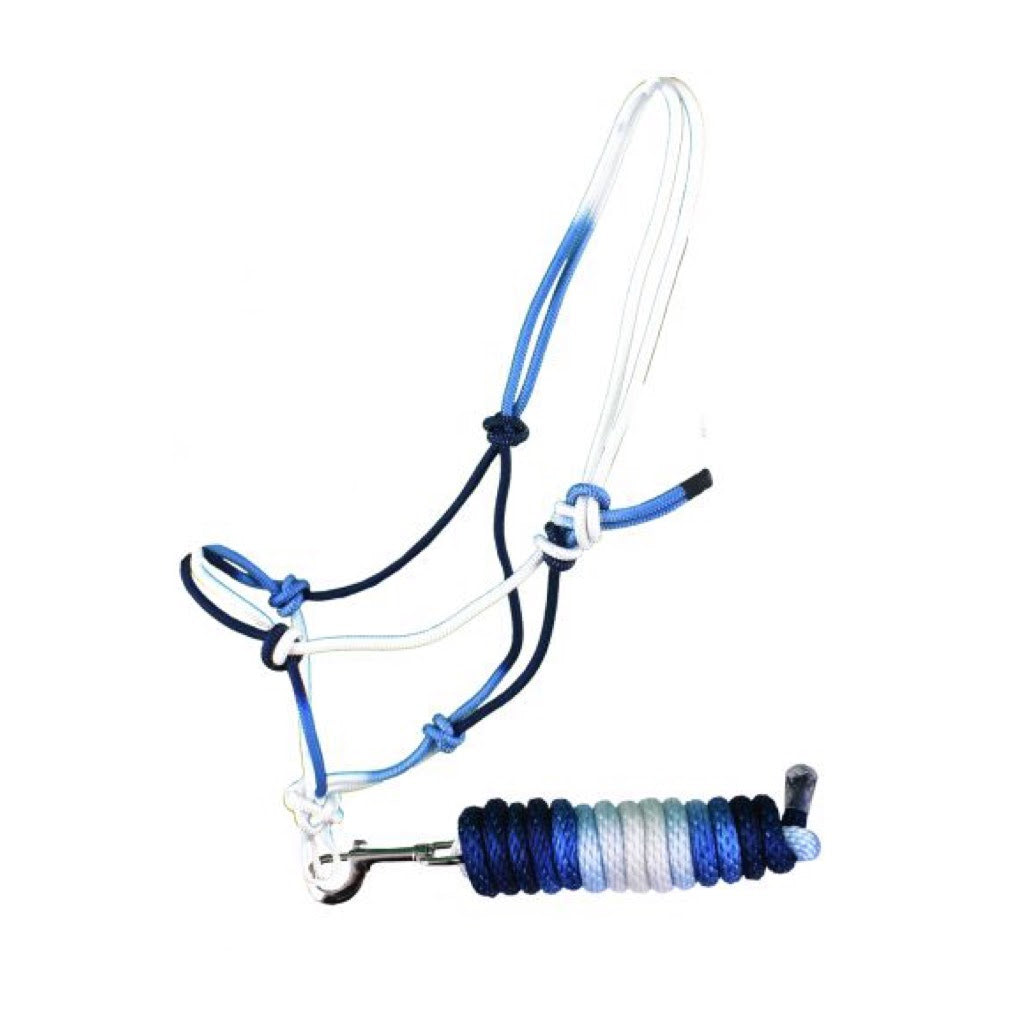 Showman® Ombre Cowboy Knot Halter with Matching Lead
