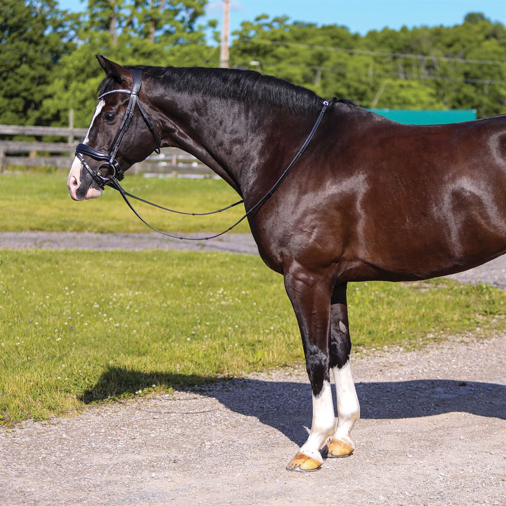 Joseph Sterling® Anatomic Snaffle Monocrown Dressage Bridle with Flash