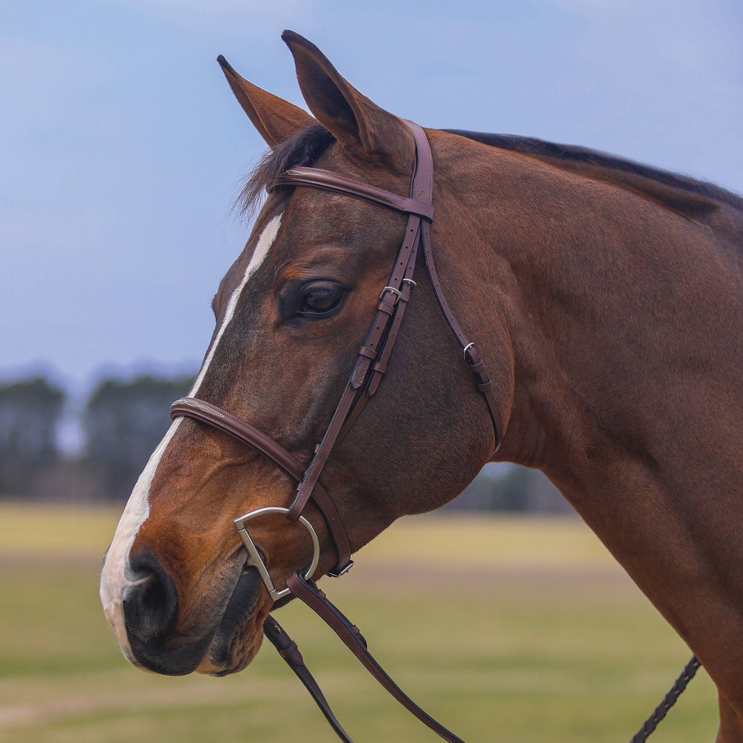 Pinnacle Hunter II Classic Bridle