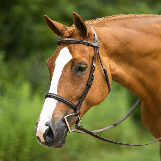 Joseph Sterling® Pro Series Hunter Classic Bridle with XL Reins - Havana