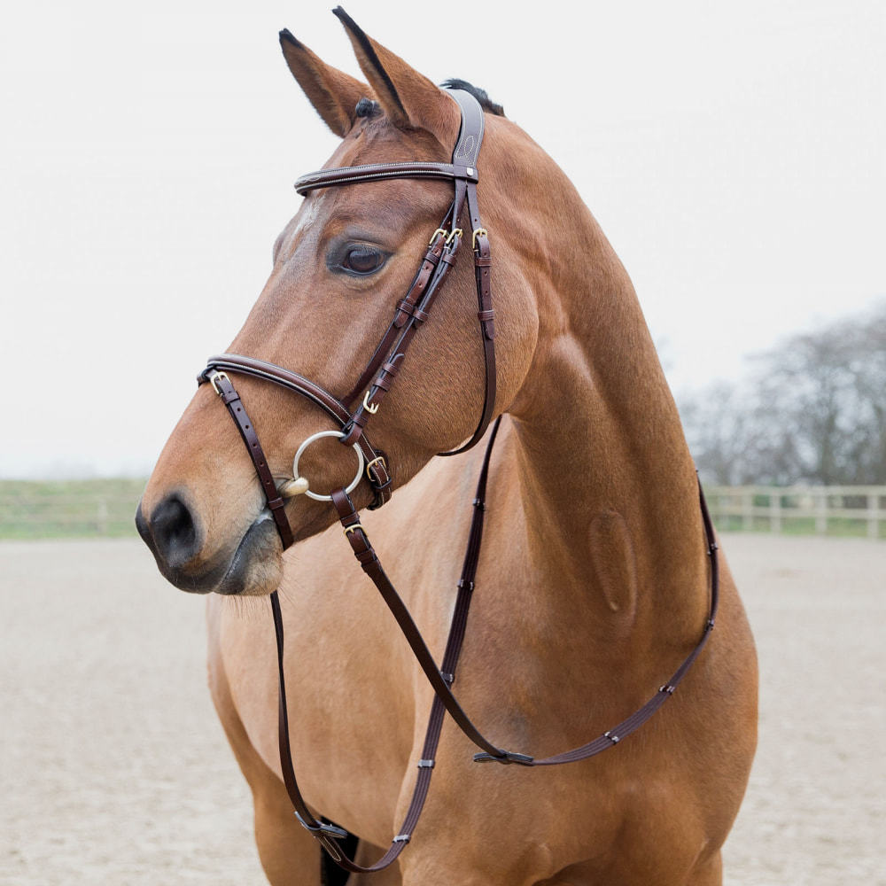 Horze Constance Padded Fancy Stitch Bridle - Brown