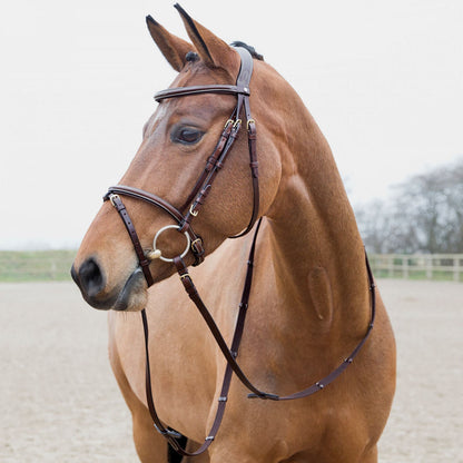 Horze Constance Padded Fancy Stitch Bridle - Brown