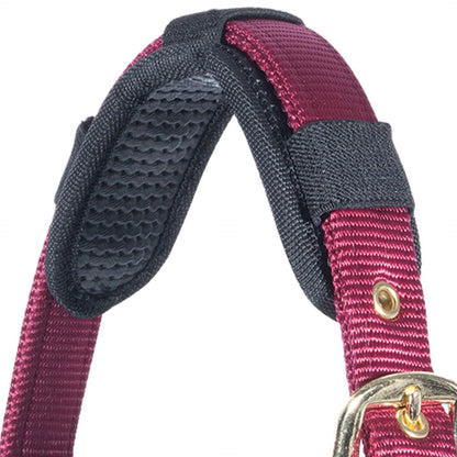 Dura-Tech® Magnetic Therapy Crown Piece