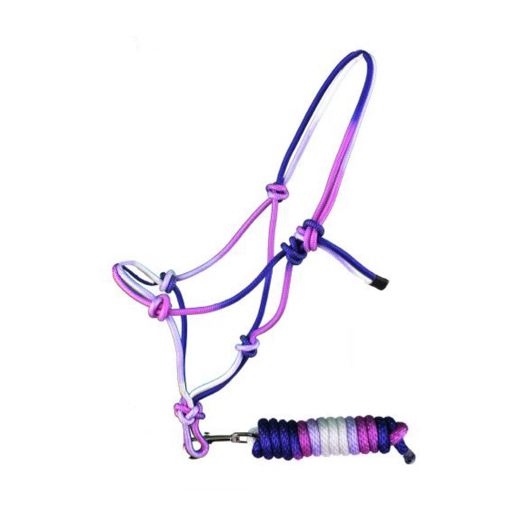 Showman® Ombre Cowboy Knot Halter with Matching Lead