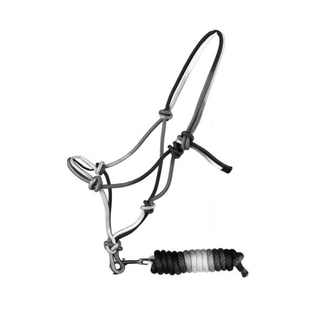 Showman® Ombre Cowboy Knot Halter with Matching Lead
