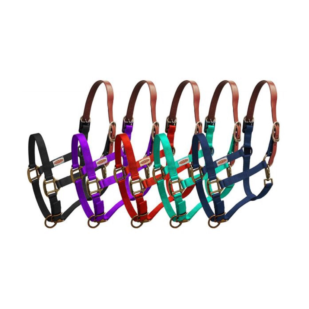 Showman® Premium Nylon Breakaway Halter