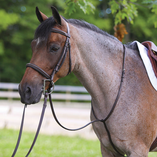 Premier Fancy Stitched Standing Martingale