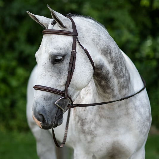 Pinnacle Padded Bridle - Brown