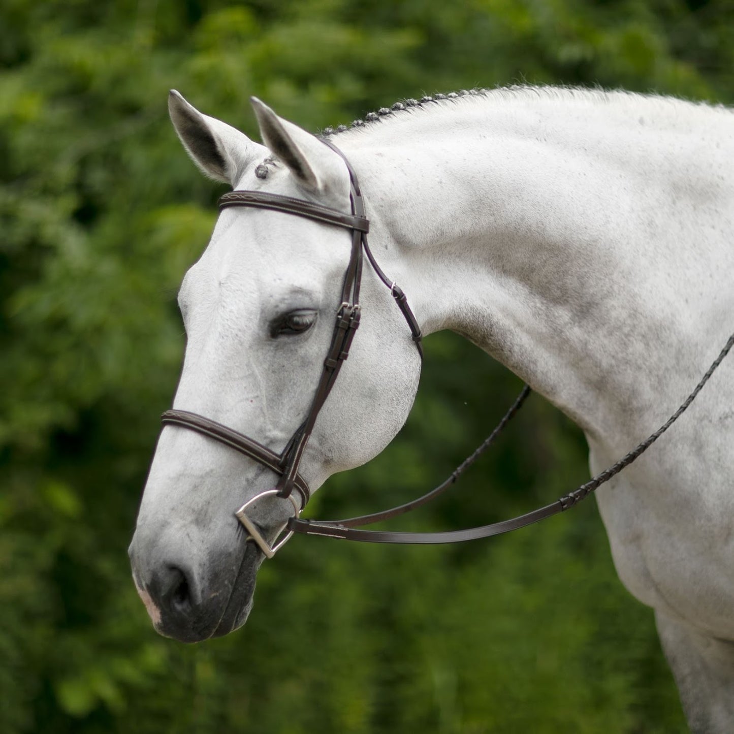 Joseph Sterling® Comfort Plus® Hunter Bridle