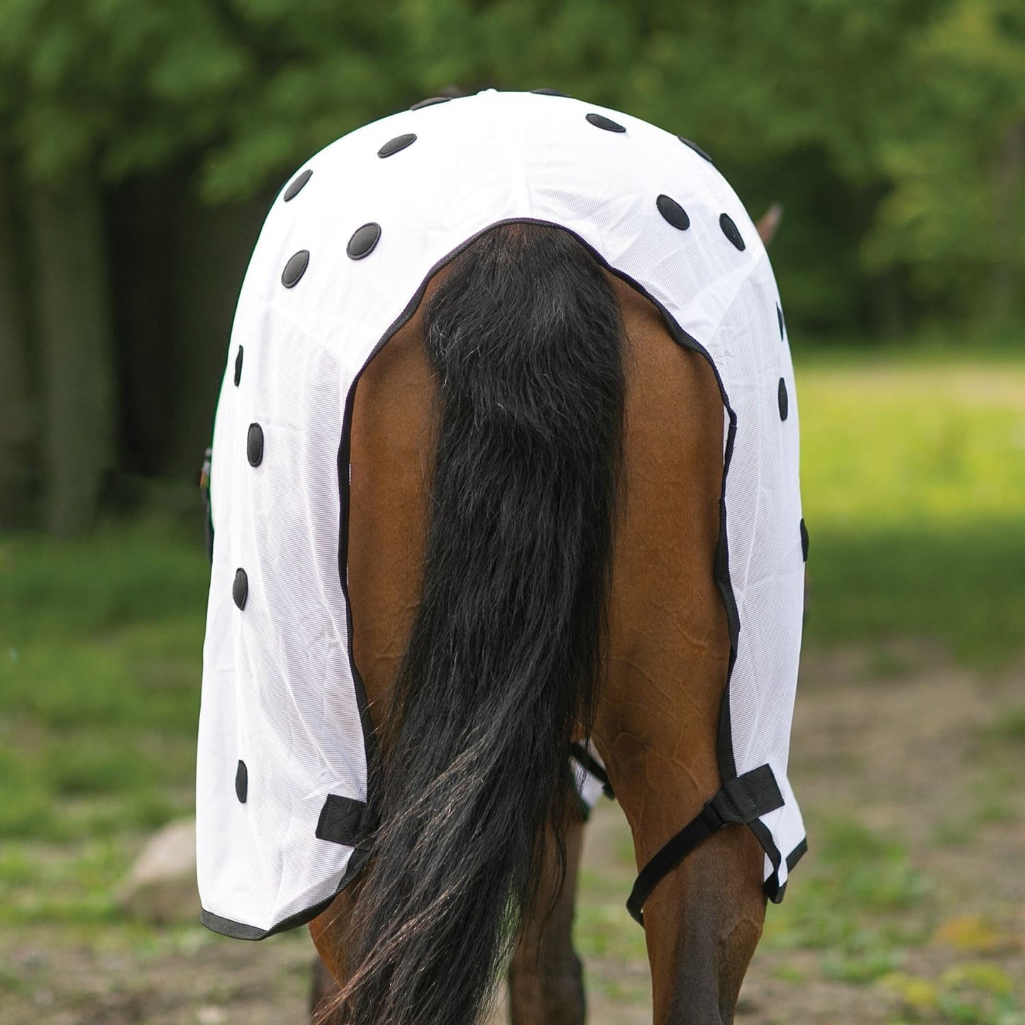 Dura-Tech® Magnetic Therapy Sheet - Navy