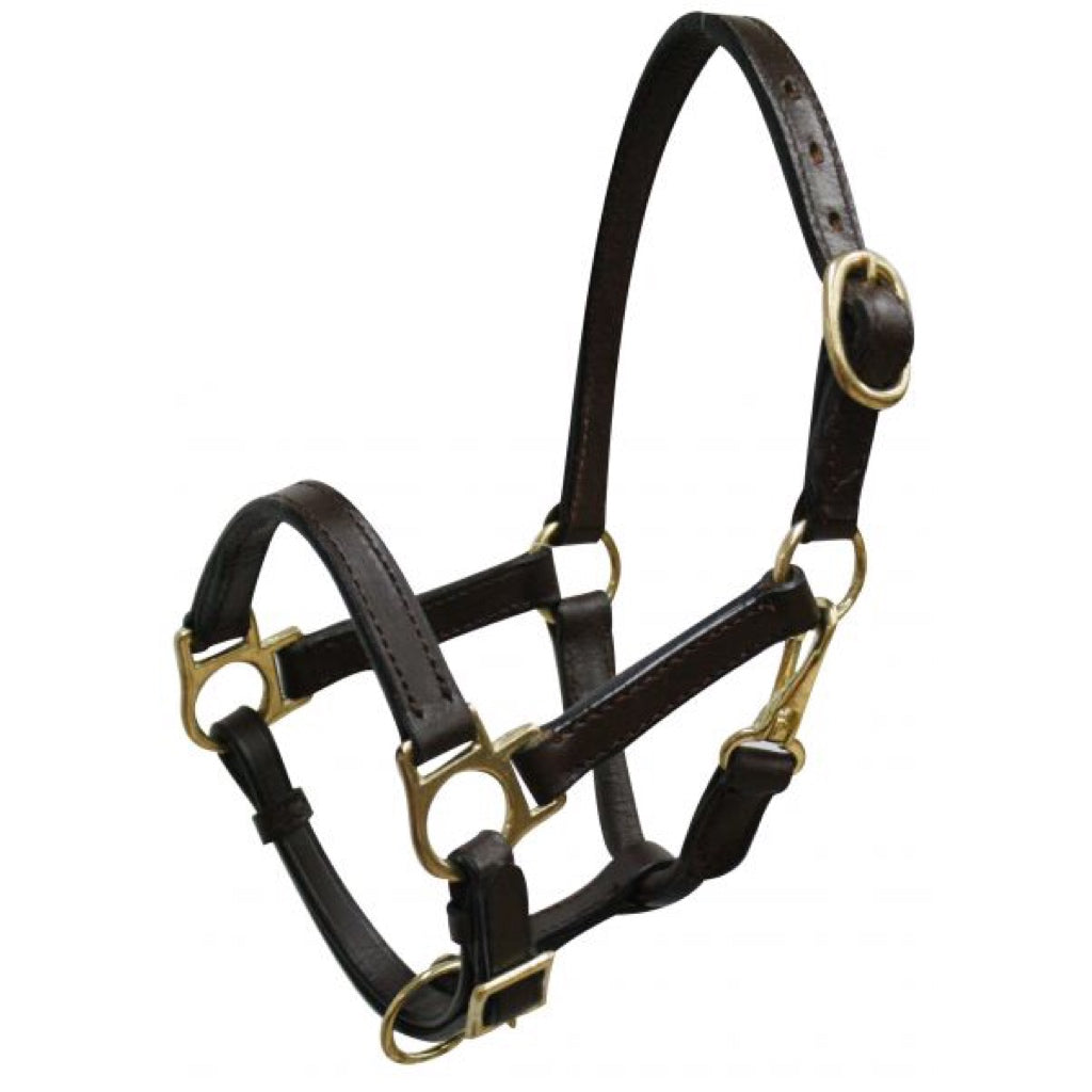 Showman® Double Stitched Leather Halter - Mini
