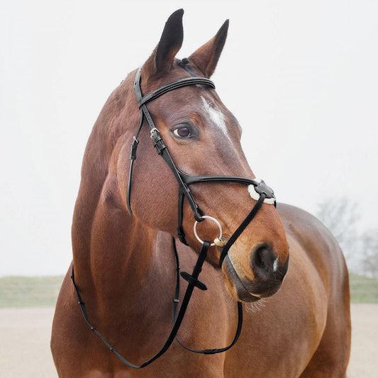 Horze Prescott Figure 8 Bridle - Black