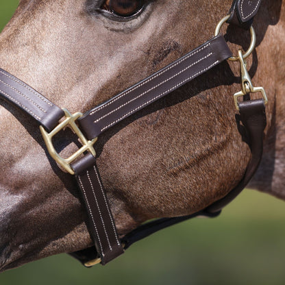 Premier Keenland Triple Stitched Leather Halter