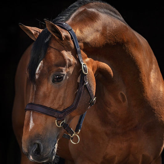 Micklem Anatomic Leather Halter