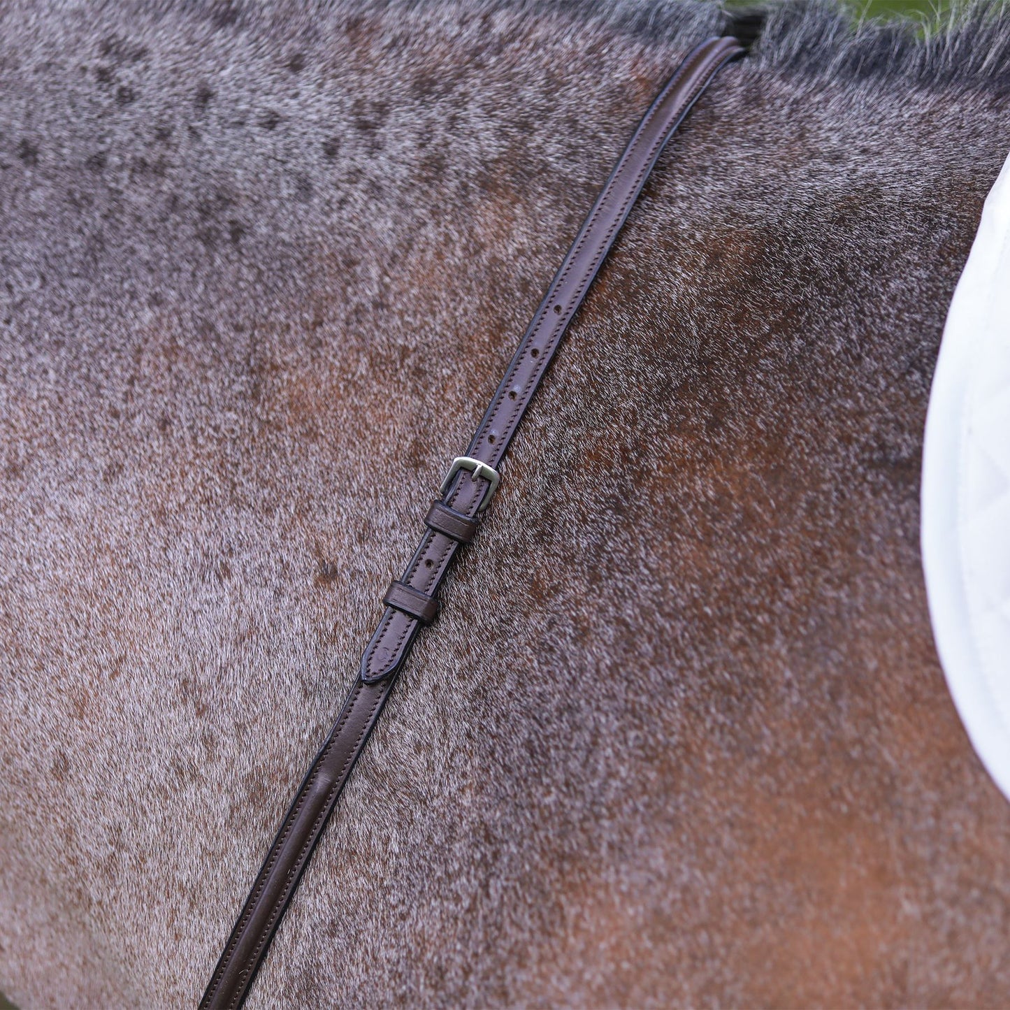 Premier Fancy Stitched Standing Martingale