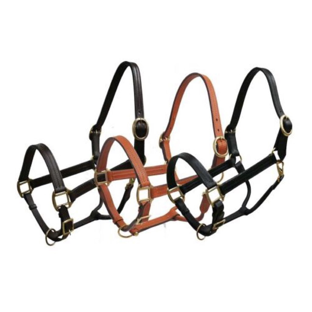 Showman® Triple Stitched Leather Halter