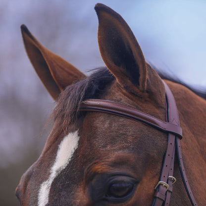 Pinnacle Hunter II Classic Bridle