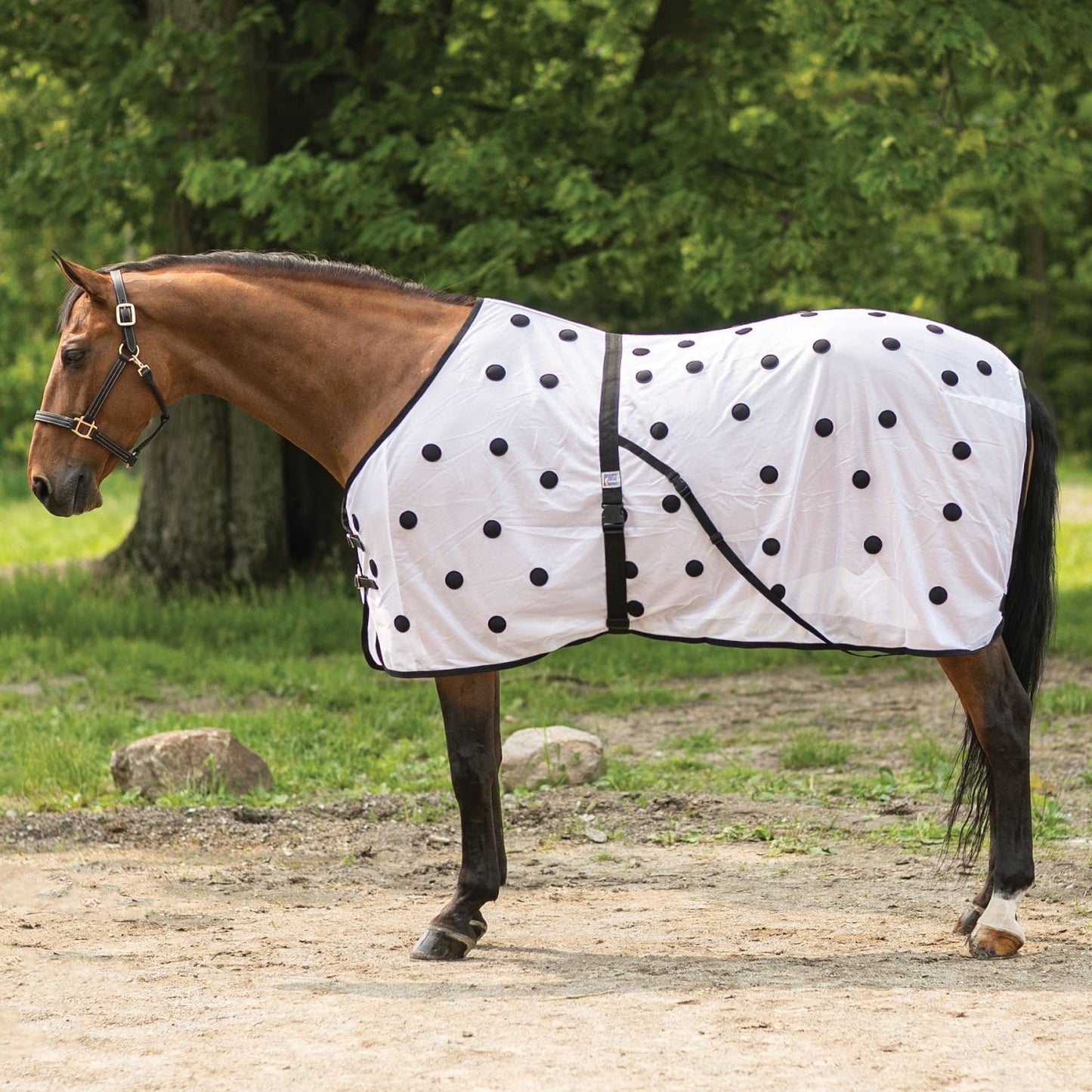 Dura-Tech® Magnetic Therapy Sheet - Navy