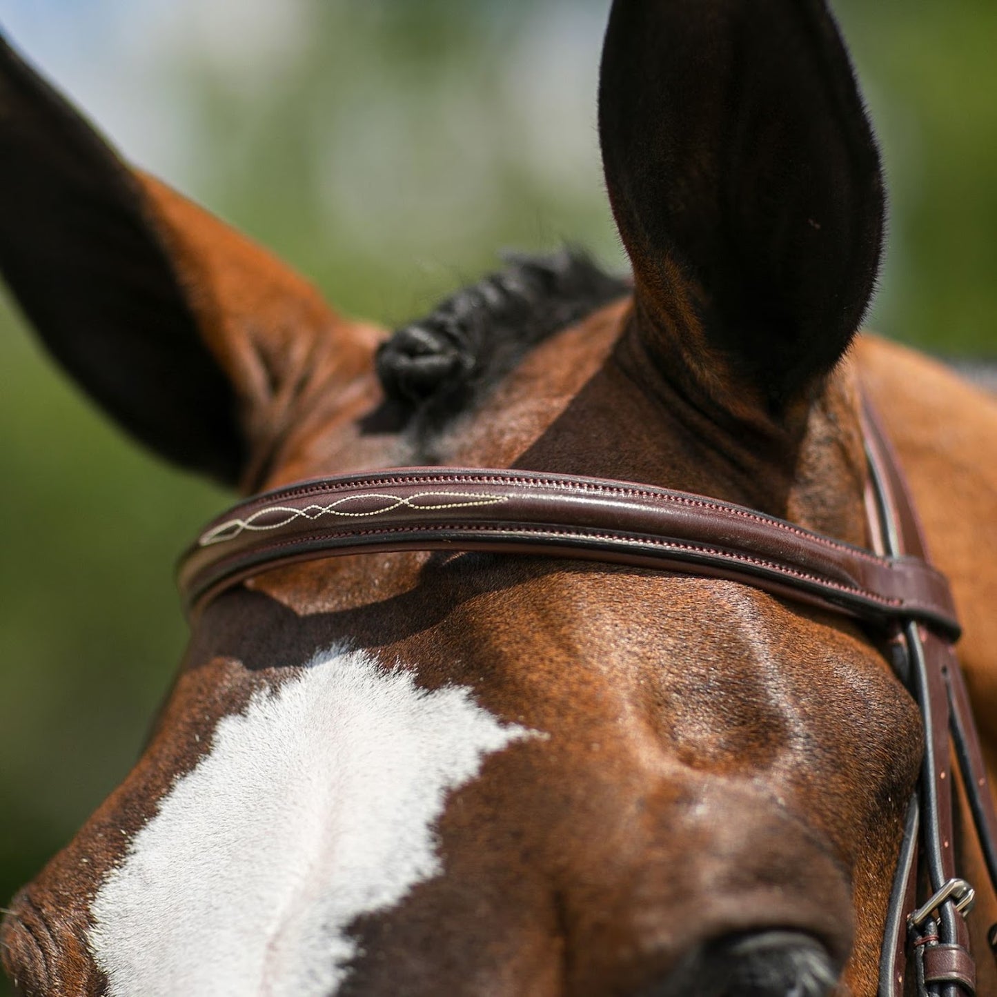 Joseph Sterling® Pro Series Hunter Classic Bridle