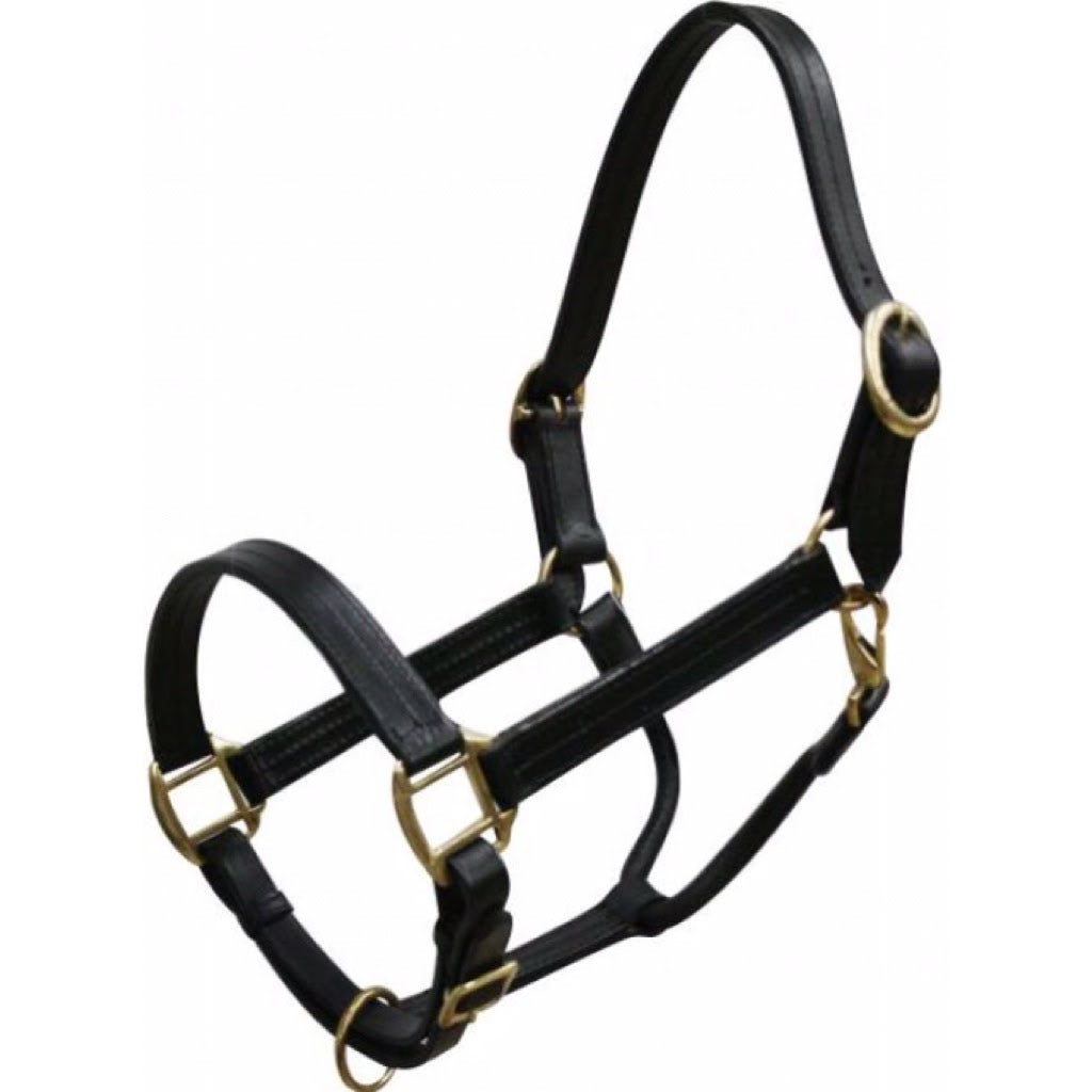 Showman® Triple Stitched Leather Halter