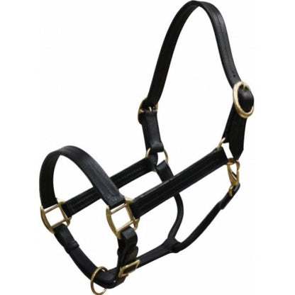Showman® Triple Stitched Leather Halter