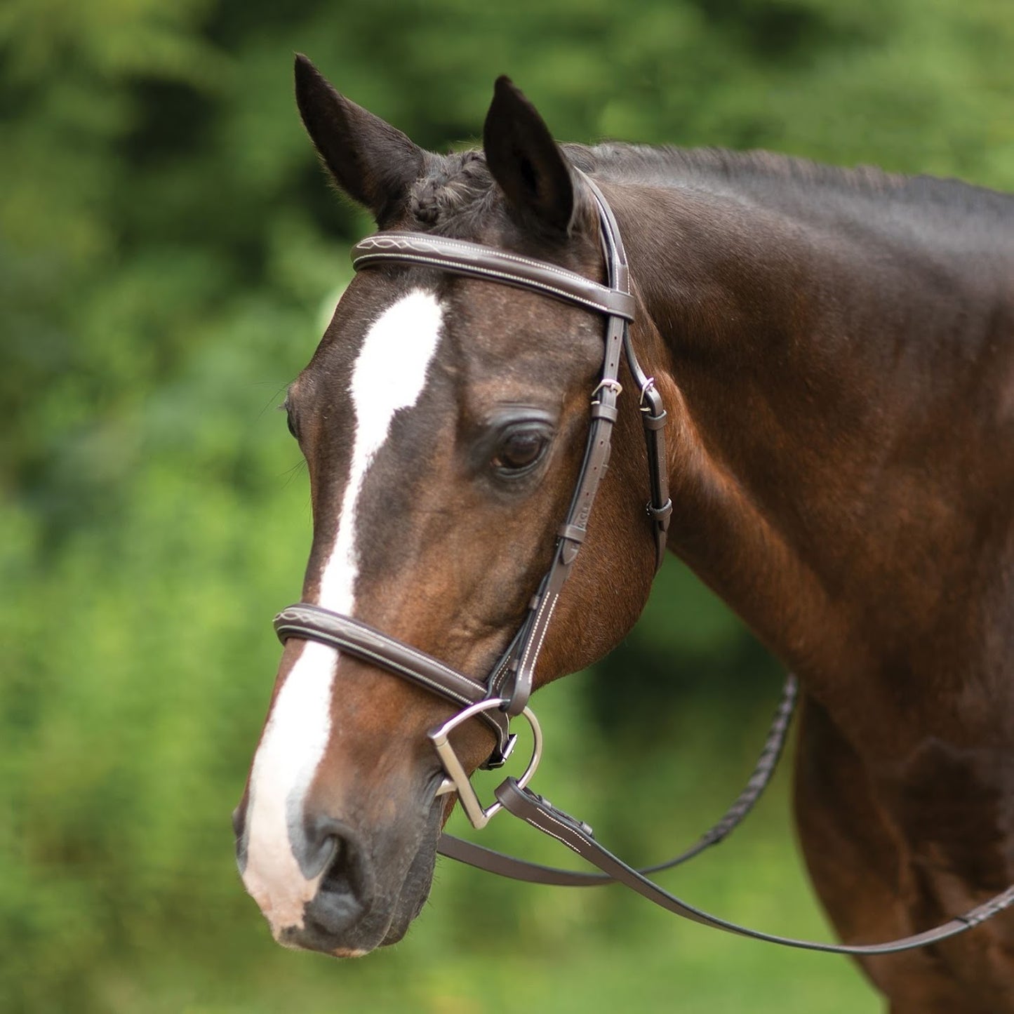 Pinnacle Comfort Plus® Hunter Bridle