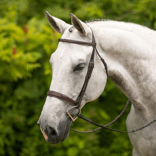 Joseph Sterling® Hartford Hunter Bridle
