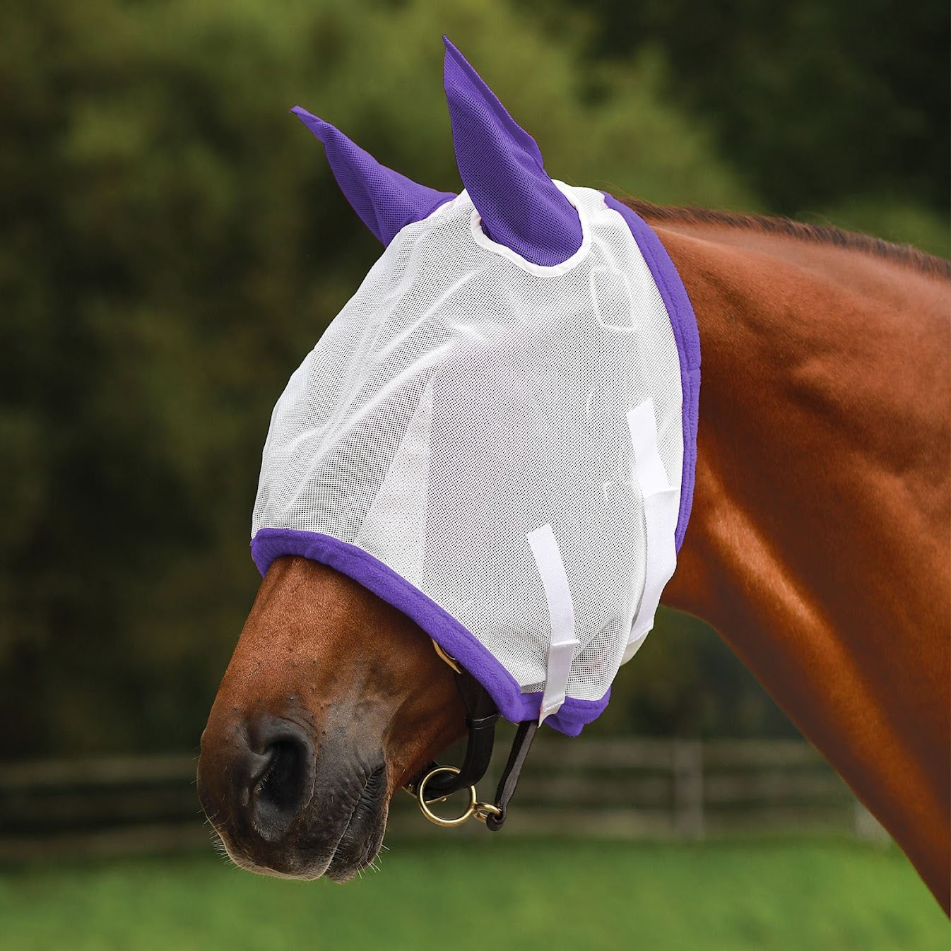 Dura-Tech® Mesh Fly Mask with Ears - Purple