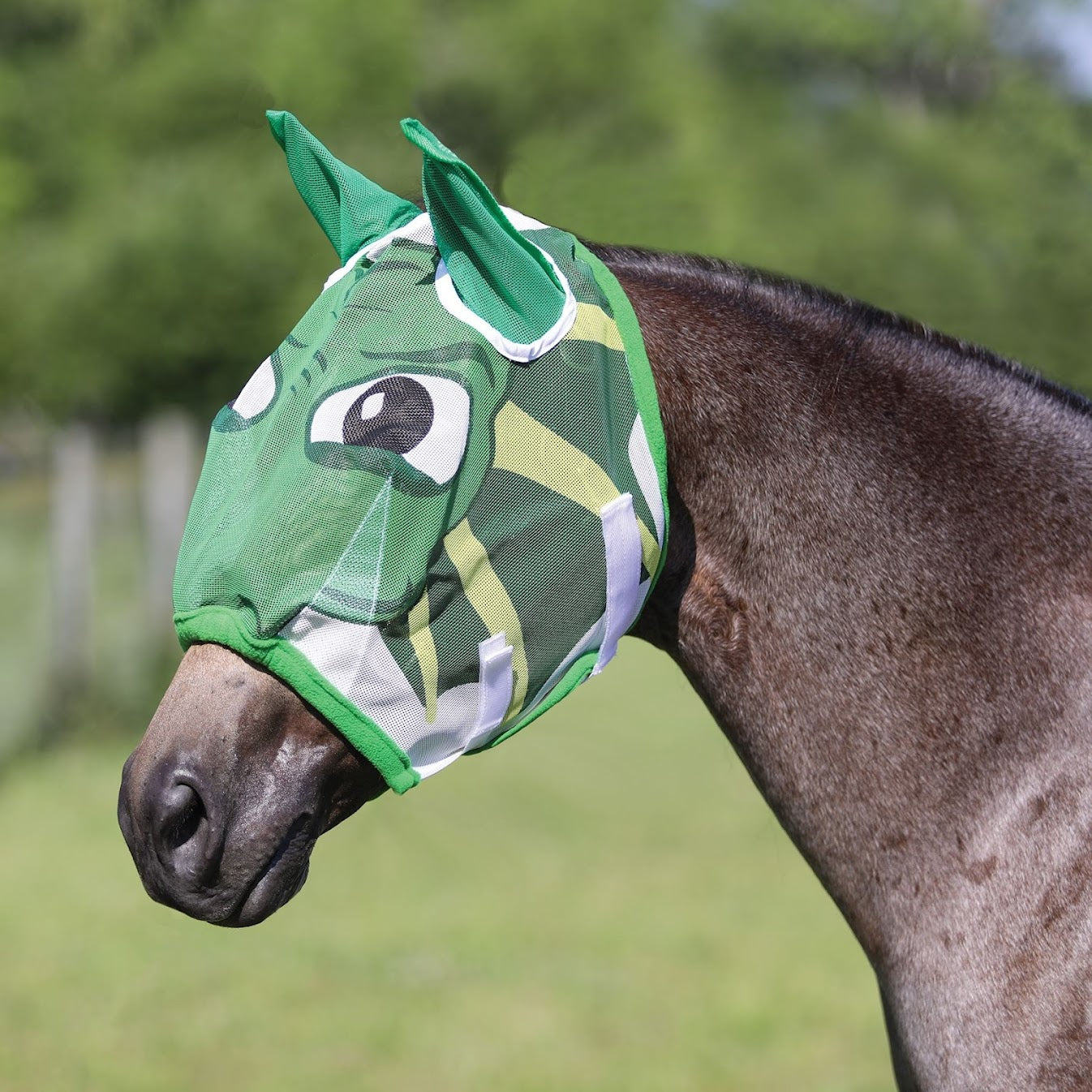 Dura-Tech® Dragon Fly Mask with Ears