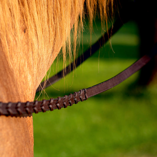 Laced Reins