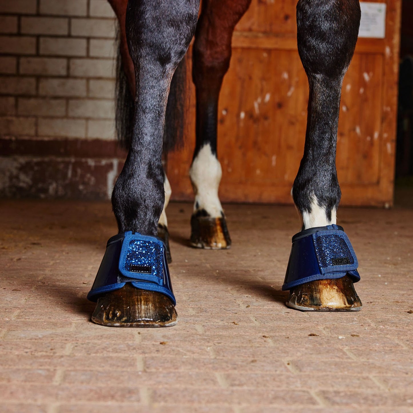 Horze Bell Boots with Glitter - Dark Blue