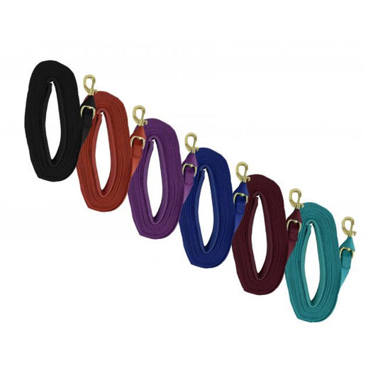 Showman® Heavy Duty 25' Web Lunge Line