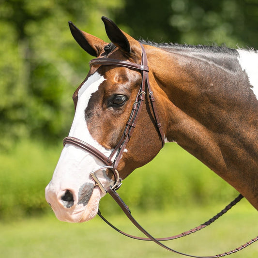 Joseph Sterling® Pro Series Hunter Classic Bridle