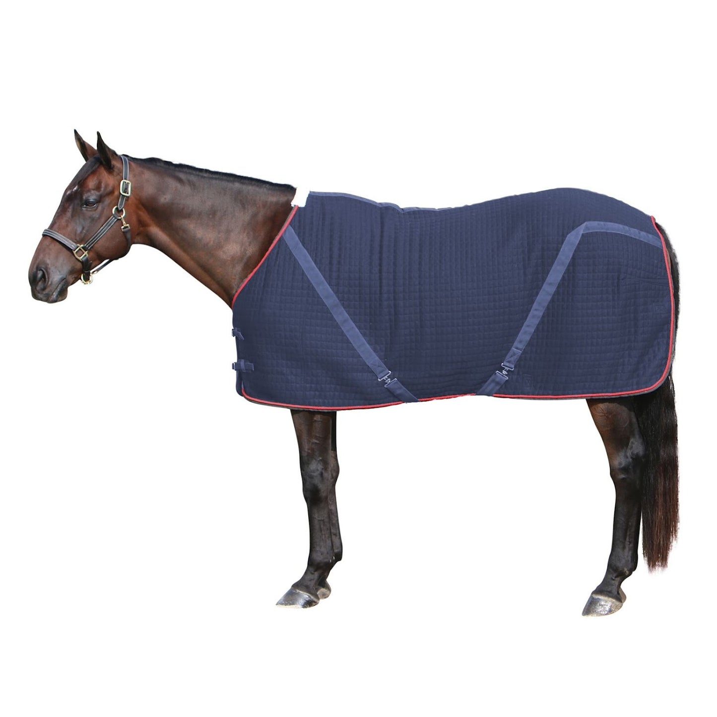 Dura-Tech® Ashby Thermal Rug Stable Sheet