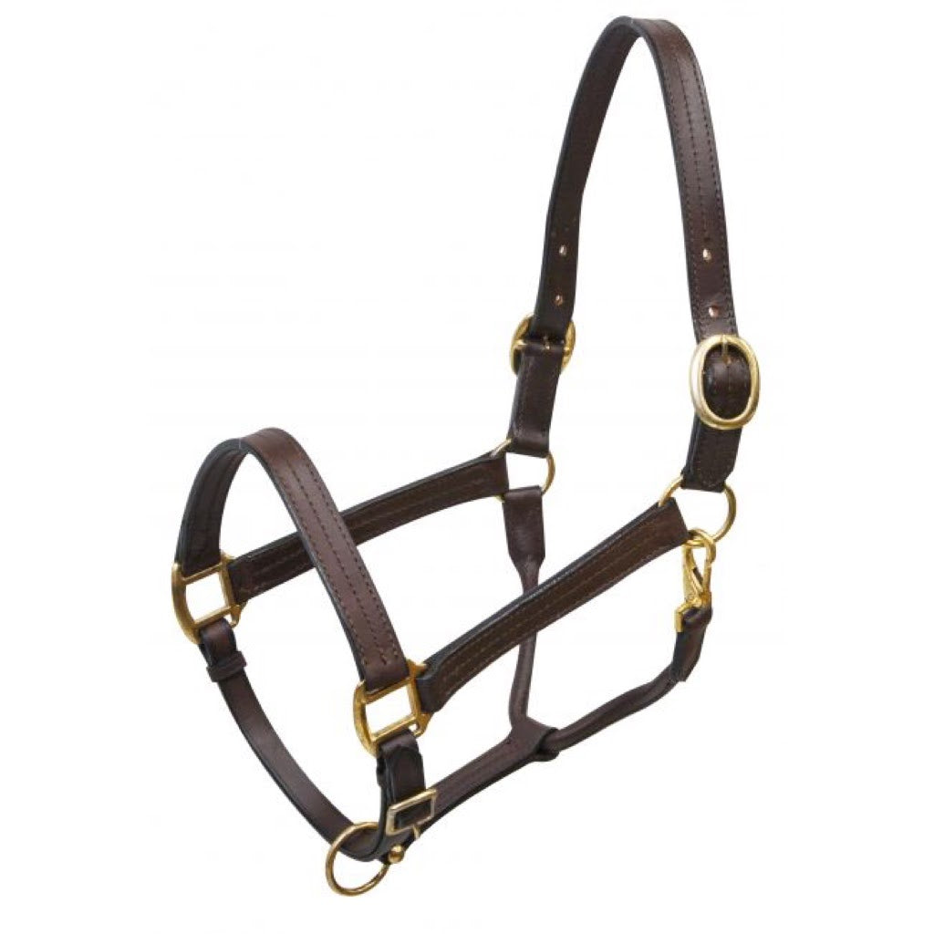 Showman® Triple Stitched Leather Halter
