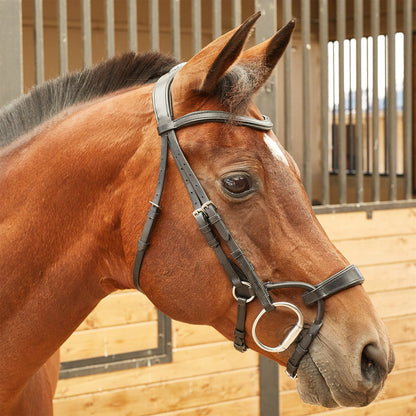 Collegiate ComFITec Training Bridle - Black