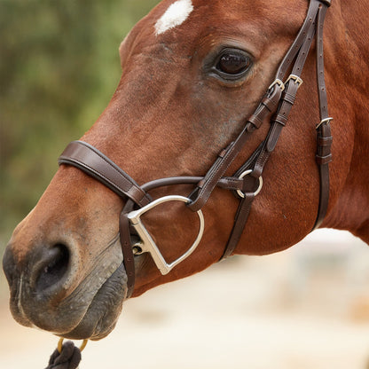 Collegiate ComFITec Training Bridle - Brown